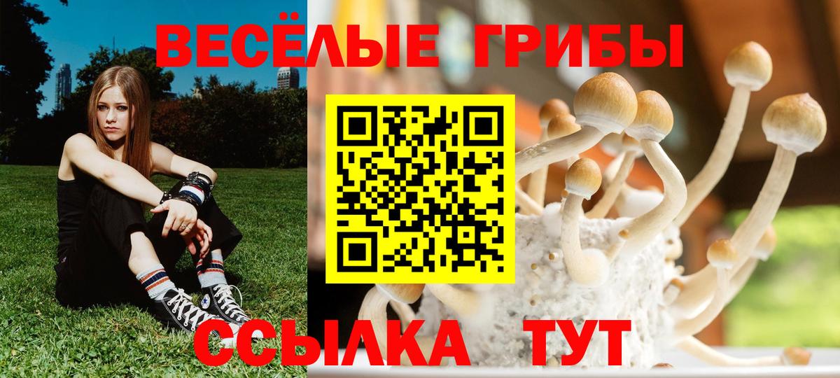 Галлюциногенные грибы ЛСД Малоярославец